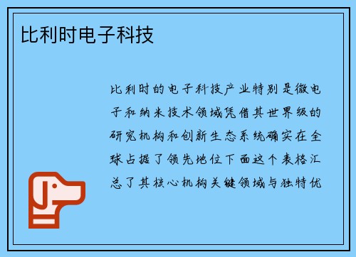 比利时电子科技